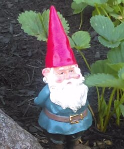 Garden Gnomes Outdoor and Indoor Statue 10'' Weather-Resistant Lawn Gnome With Red Hat and Adorable beard, Adds Whimsical Charm to Your Garden Gnomes Decorations for Yard. 10 in 30 71b1tIKsvOL