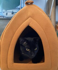Cat House - Indoor Cat Bed with Removable Foam Cushion - Pet Tent for Kittens, Rabbits, Guinea Pigs, and Other Small Animals by PETMAKER (Brown) Light Brown 43 71b1vuKhOPL