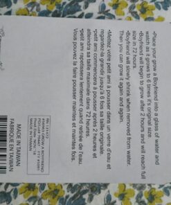 Forum Novelties Grow a Boyfriend Novelty 14 71b4wztE L