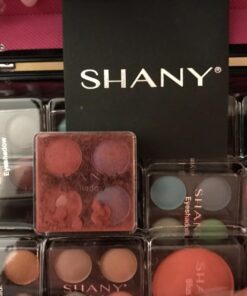 SHANY Carry All Makeup Train Case with Pro Makeup Set, Makeup Brushes, Lipsticks, Eye Shadows, Blushes, Powders, and more - Reusable Makeup Storage - Premium Gift Packaging - Silver 35 71b8tzTeAyL