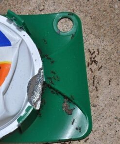 Terro 1806 Outdoor Liquid Ant Baits, 1.0 fl. oz. - 6 count 30 71b9PKpYzL