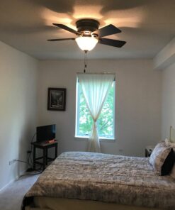 Hunter Fan Company, 51023, 42 inch Conroy Onyx Bengal Low Profile Ceiling Fan with LED Light Kit and Pull Chain Onyx Bengal finish 30 71bAUPWIwXL