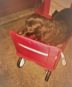 Radio Flyer 3-in-1 EZ Folding Wagon Ride On For Kids, Garden, & Cargo, Red Collapsible Wagon Base 66 71bCbQdtGRL