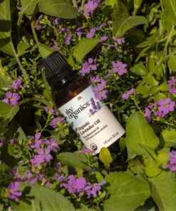 Sky Organics Organic Lavender Essential Oil, 100% Pure and Cold Pressed USDA Certified Organic for Aromatherapy & DIY, 1 Fl Oz. 1 Fl Oz (Pack of 1) 29 71bD4IHJfEL