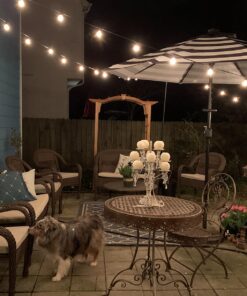 Brightown Outdoor String Lights - Globe Patio Lights 30 Ft with 30 G40 Shatterproof Bulbs, Waterproof Connectable Dimmable Commercial Hanging Lights for Backyard, Bistro, Porch, Cafe, Deck 30 FT - 30 LED Bulbs 40 71bDzLvD20L