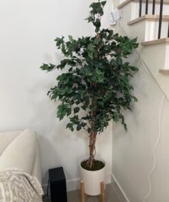 Nearly Natural 6ft. Ficus Artificial Trees, 72in, Green 72 in 31 71bF34BJYL