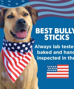 Best Bully Sticks All Natural 6 Inch Thick Bully Sticks for Large Dogs - USA Baked & Packed - 100% Free-Range Grass-Fed Beef - Single-Ingredient Grain & Rawhide Free Dog Chews - 18 Pack 6" (18 Pack) 38 71bFX6cluvL 2