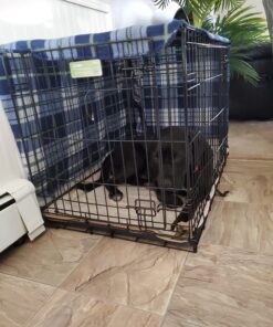 MidWest Homes for Pets Newly Enhanced Double Door iCrate Dog Crate, Includes Leak-Proof Pan, Floor Protecting Feet, Divider Panel & New Patented Features 36 inch (Pack of 1) 42 71bFtRayzrL