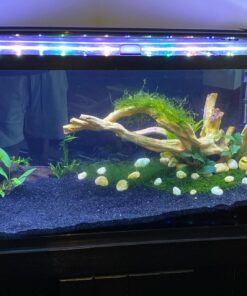 Luffy Decorative Wall or Floor Mesh Kit, 2 Pieces 39 71bHgSTOosL