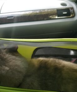 Paws & Pals Airline Approved Pet Carrier - Soft-Sided Carriers for Small Medium Cats and Dogs Air-Plane Travel On-Board Under Seat Carrying Bag with Fleece Bolster Bed for Kitten Cat Puppy Dog Taxi Green 39 71bJsOpk40L