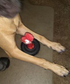 KONG - Tires - Durable Rubber Chew Toy and Treat Dispenser for Power Chewers - for Medium/Large Dogs Standard Packaging 40 71bK8bRFH4L