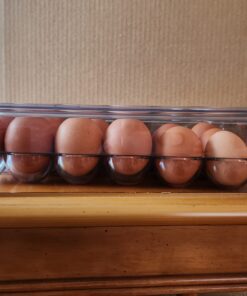 iDesign Plastic Egg Holder for Refrigerator with Handle and Lid, Fridge Storage Organizer for Kitchen, Set of 1, Clear 46 71bOOMeWUlL