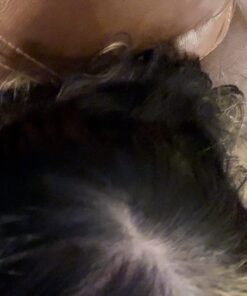 Nutrafol Men's Hair Growth Supplements, Clinically Tested for Visibly Thicker Hair and Scalp Coverage, Dermatologist Recommended - 1 Month Supply 60 71bP LeMurL