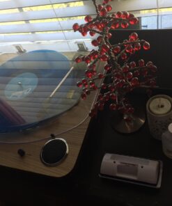 ION Audio Max LP – Vinyl Record Player / Turntable with Built In Speakers, USB Output for Conversion and Three Playback Speeds – Natural Wood Finish Max LP with Speakers Record Player only 50 71bPQ16KfL