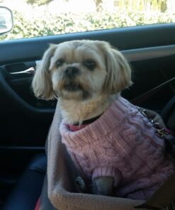 Classical Stretch by ESSENTRICS: Age Reversing Workouts for Beginners Box Set DVD - Mobility & Bone Strengthening + Posture & Pain Relief w/ Miranda Esmonde-White 11 71bSFqacAtL