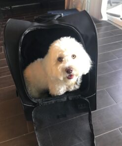 Pet Gear I-GO2 Roller Backpack, Travel Carrier, Car Seat for Cats/Dogs, Mesh Ventilation, Included Tether, Telescoping Handle, Storage Pouch 22.0"L x 13.5"W x 16.0"H 49 71bUn8lsQNL