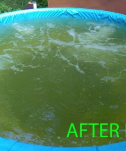 CuLator Metal Eliminator & Stain Preventer for Pools & Spas PowerPak 1.0 1-Pack 42 71bUpTZyk5L