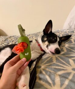 Earth Rated Leash Dispenser & 15 Dog Poop Bag Bundle Pack - Ultra-Thick Doggie Waste Bags with Holder | Lavender-Scented With Leak-Proof Security 1 Dispenser, 15 Bags 54 71bVMvHTWKL 1