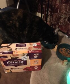 Rachael Ray Nutrish Natural Wet Cat Food, Ocean Lovers Variety Pack, 2.8 Ounce Cup (Pack of 12), Grain Free Variety Pack: Ocean Lover's 2.8 Ounce (Pack of 12) 25 71bVO7sxoL