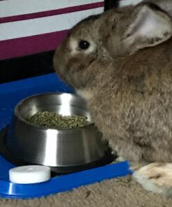 Van Ness Pets Large Waterproof Food And Water Bowl Mat For Dogs, Cats 26 71bYsJleQL