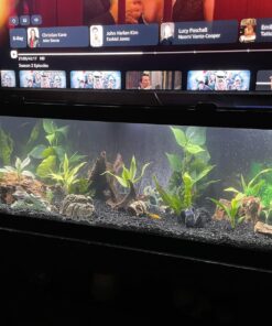 CNZ® Aquarium Fish Tank Green Lifelike Underwater Plastic Plant Aquatic Water Grass Decor (Large, 13-inch) Large, 13-inch 24 71balypk9YL