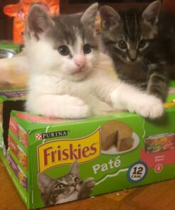 Purina Friskies Pate - (2 Packs of 12) 5.5 oz. Cans 5.50 Ounce (Pack of 24) Pate Variety Pack 46 71bbERqaG7L