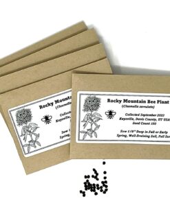 Set of 50 Blank Proterra Seed Envelopes W/ Self Sealing Adhesive (3.25" W by 4.50" H) 20 71bdVydJKvL