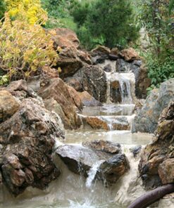 Pond Armor SKU-TAN-QT-R Non-Toxic Pond Shield Epoxy Paint, 1.5-Quart, Tan, 48 Fl Oz (Pack of 1) 10 71bf73LGL