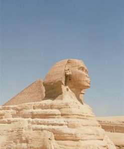 Kodak Ektar 100 Professional ISO 100, 35mm, 36 Exposures, Color Negative Film 25 71bfwJcOL L