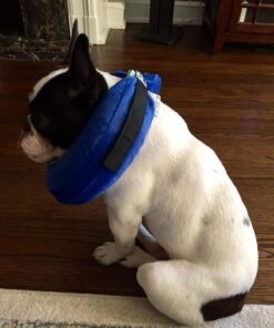 KONG - Cloud Collar - Plush, Inflatable E-Collar - For Injuries, Rashes and Post Surgery Recovery - For Medium Dogs/Cats Standard Packaging 33 71bkWjWAWeL