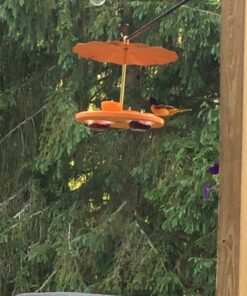 Kettle Moraine Super Oriole Recycled Orange Fruit, Jelly, Mealworm Bird Feeder w/Orange Roof 38 71br eXNVuL