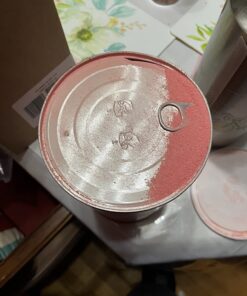 Gatorade Thirst Quencher Powder, Lemon Lime, 76.5 Ounce,Pack of 1 Lemon-Lime 4.78 Pound (Pack of 1) 41 71byXCecXNL