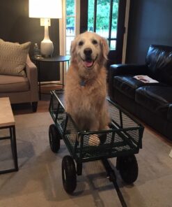 Sandusky Lee CW3418 Muscle Carts Steel Utility Garden Wagon, 400 lb. Load Capacity, 21-3/4" Height x 34" Length x 18" Width 57 71bzuOa2v1L