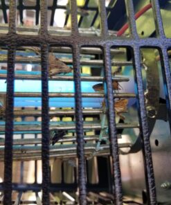 Flowtron Bug Zapper, 1/2 Acre of Outdoor Coverage with Powerful 15W Bulb & 5600V Instant Killing Grid, Electric Insect, Fly & Mosquito Zapper, Made in The USA 25 71c0nUQp88L