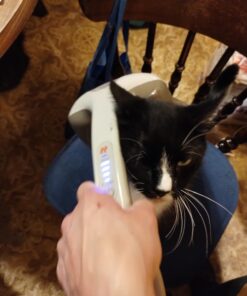 HoMedics Percussion Action Massager with Heat | Adjustable Intensity , Dual Pivoting Heads | 2 Sets Interchangeable Nodes , Heated Muscle Kneading for Back , Shoulders , Feet , Legs , & Neck Beige 35 71c2mFnvkNL