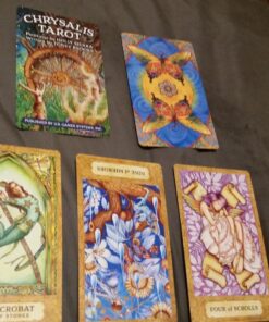 Chrysalis Tarot 49 71c6RGbOzgL