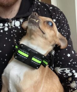 PetYeah Dog Bark Collar-5 Adjustable Sensitivity and Intensity Levels-Dual Anti-Barking Modes-Rechargeable/Rainproof/Reflective -No Barking Control Dog Shock Collar for Small Medium Large Dog 32 71c75A0HwyL