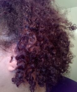 SheaMoisture Jamaican Black Castor Oil Treatment Masque Jamaican Black Castor Oil For Dry Hair Paraben Free Hair Mask 11.5oz 42 71cAIjN40ZL