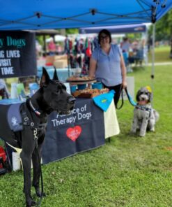 Crown Shades 10x10 Pop up Canopy Outside Canopy, Patented One Push Tent Canopy with Wheeled Carry Bag, Bonus 8 Stakes and 4 Ropes, Blue 50 71cARmboYxL
