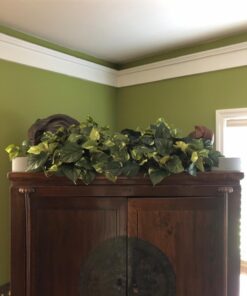 Nearly Natural 15in. Pothos Ledge Plant (Set on Foam) Silk Plant,Green 52 71cD eC2fgL