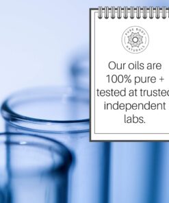 Peppermint Essential Oil, 4 Fl Oz - Pure and Undiluted Mentha Piperita Oil, Therapeutic Grade Aromatherapy Oil for Diffuser, Relaxation and Focus - by Pure Body Naturals 20 71cEBJ wRXL