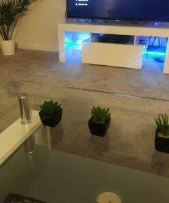 MyGift Set of 3 Faux Succulents in Mini Square Pots - Modern Home Decor Succulent Artificial Plants with Black Ceramic Planter Pot 34 71cF7t9dqIL