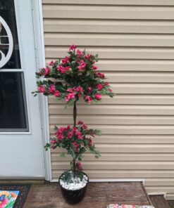 Nearly Natural 5228 Mini Bougainvillea Topiary Beauty, 5-Feet,9" x 9" x 62.5" , Green Plant 36 71cJoYtxDEL