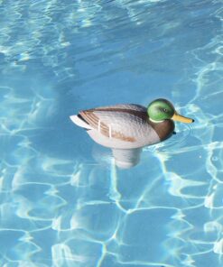 Poolmaster Adustable Chlorine Dispenser for Swimming Pools and Spas, Mallard 24 71cKDD6fCxL