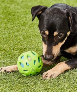 JW Pet Crackle Heads Crackle Ball, Small 18 71cMKpiN0L