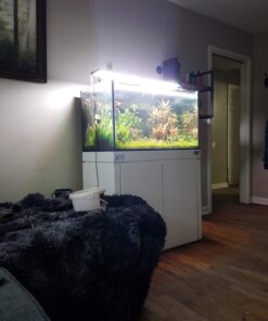 API ALGAE SCRAPER For Glass Aquariums 1-Count Container Blacks & Grays 15 71cOVbY4WqL