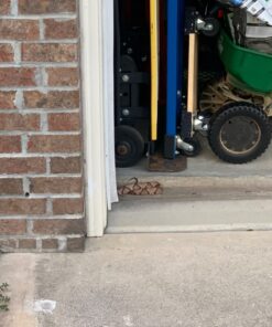 Bonide Snake Stopper Snake Repellent, 4 lb. Ready-to-Use Granules for Outdoor Pest Control, People & Pet Safe 22 71cPdG5hNFL 1