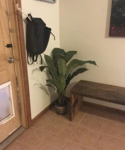 Nearly Natural 6739 Birdsnest Plant, 3.5-Feet, Green 19 71cTItMzL