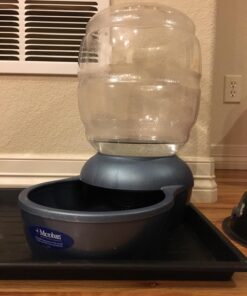 Petmate Replendish Gravity Waterer With Microban for Cats and Dogs, 2.5 Gallons,Blue, Made in USA Blue 2.5 GAL 50 71cUGJ8DaPL