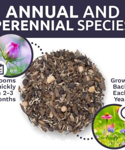 Wildflower Seeds Butterfly and Humming Bird Mix - Large 1 Ounce Packet 7,500+ Seeds - 23 Open Pollinated Annual and Perennial Species 1 Ounce Pouch 35 71cUhJrH7lL